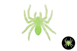 10 araignées phosphorescentes halloween - Accessoires créatifs Halloween - 10doigts.fr - 2