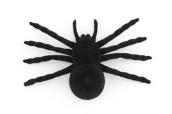 araignée déco halloween - Accessoires créatifs Halloween - 10doigts.fr