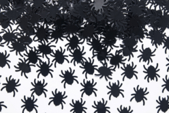 Mini araignées à coller - 500 pièces - Accessoires d'Halloween – 10doigts.fr