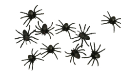 Araignées noires - 10 pièces - Accessoires d'Halloween – 10doigts.fr - 2