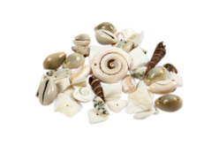 Perles coquillages - Assortiment de 120 gr - Perles Heishi et coquillages – 10doigts.fr