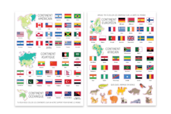 Carte du monde + 2 planches de gommettes drapeaux - Kits éducatifs – 10doigts.fr - 2