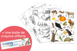 Cartes à colorier et gommettes + Cadeaux - Fables de La Fontaine - Kits créatifs gommettes – 10doigts.fr