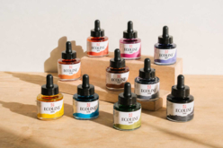 Encre aquarelle Ecoline - Sets de 5 flacons 30 ml - Encres beaux-arts : encre de Chine et encres acryliques - 10doigts.fr