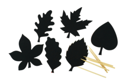 Feuilles d’arbre à gratter - Kits créatifs Automne - 10doigts.fr - 2