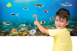 Gommettes poissons + fresque fond marin - Gommettes Animaux – 10doigts.fr - 2