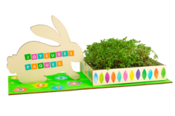 Kits jardinières lapin + cresson - 6 pièces - Kits créatifs Pâques – 10doigts.fr