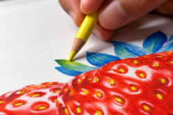 Kit 3 crayons polychromos Faber-Castell  "fraise" - Crayons de couleurs Beaux-Arts - 10doigts.fr