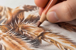 Kit crayons polychromos Faber-Castell  "Araignée" - Crayons de couleurs Beaux-Arts - 10doigts.fr