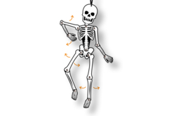 Mobile squelette articulé - Décorations d'Halloween – 10doigts.fr - 2
