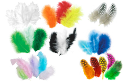 nouvel assortiment plumes - Plumes décoratives - 10doigts.fr