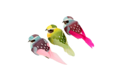 Oiseaux colorés sur pince - 3 oiseaux - Décorations à coller – 10doigts.fr