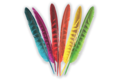 Plumes 6 couleurs - Set de 24 plumes - Plumes – 10doigts.fr