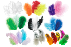 Plumes camaïeu de couleurs au choix - environ 50 plumes - Plumes décoratives – 10doigts.fr