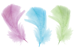 Plumes couleurs pastel - Set d'environ 50 plumes - Plumes – 10doigts.fr