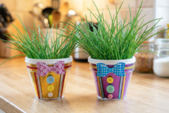 Pot de fleurs chemise et ciboulette - Kits animaux et nature : créez votre propre univers sauvage - 10doigts.fr - 2