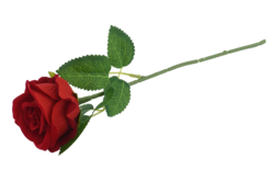 rose artificielle réaliste - Fleurs, Végétaux - 10doigts.fr