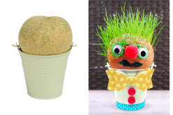 Têtes à gazon + seaux en métal - Lot de 4 - Graines à planter – 10doigts.fr