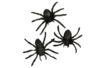 Araignées noires - 10 pièces - Accessoires d'Halloween – 10doigts.fr