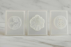 12 Moules savon, motifs nature - Moules et accessoires savon – 10doigts.fr