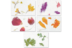 Papier pétales de fleur - 10doigts.fr