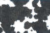 Décopatch N° 369 - 10doigts.fr