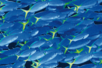 Décopatch N° 453 - Set 3 feuilles - 10doigts.fr