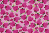 Décopatch N° 455 - Set 3 feuilles - 10doigts.fr