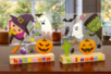 Activite Halloween Enfant Plexiglas - Activités manuelles Halloween – 10doigts.fr