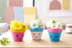 ambiance pots kawaii - Activités manuelles peinture : des créations pour tous les âges et toutes les envies – 10doigts.fr