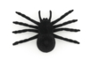araignée déco halloween - Accessoires créatifs Halloween – 10doigts.fr