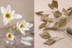 Bouquet Automnal Créatif  - Fleurs en crépon – 10doigts.fr