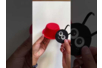 diy coccinelle facile - Activités manuelles animaux – 10doigts.fr