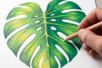 feuille monstrea blender - Accessoires de dessin Beaux-Arts – 10doigts.fr