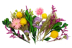 Fleurs et feuilles séchées - 48 pièces - Fleurs et feuilles décoratives – 10doigts.fr