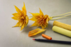 kit Bouquet Automnal Créatif  - Fleurs en crépon – 10doigts.fr