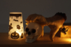 Kit photophores Halloween - Kits créatifs Halloween – 10doigts.fr