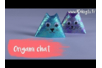 Origami chat - Collage et pliage papier – 10doigts.fr