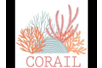 PAPIER CORAIL - Papiers à motifs – 10doigts.fr
