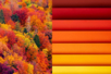 Papiers couleurs d'automne - 50 x 70 cm - Papiers Grands Formats – 10doigts.fr