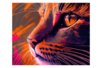 peinture numéro chat - Peinture aux numéros – 10doigts.fr