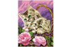 Tableau peinture au Numéro - Chatons - Peinture par numéros – 10doigts.fr