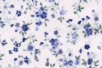 Coupon de tissu imprimé fleurs bleues - 43 x 53 cm - Coupons de tissus – 10doigts.fr