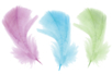 Plumes couleurs pastel - environ 50 plumes - Plumes décoratives – 10doigts.fr