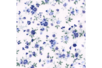 Coupon de tissu imprimé fleurs bleues - 43 x 53 cm - Coupons de tissus – 10doigts.fr