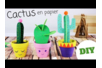 Cactus en papier - Collage et pliage papier – 10doigts.fr