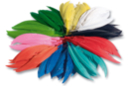 Plumes indiennes multicolores - Set d'environ 460 plumes - Plumes décoratives - 10doigts.fr