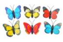 Papillons 3D sur pinces - 6 pièces - Décorations à coller - 10doigts.fr