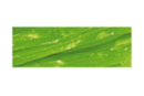 Bobine de 30 mètres de raphia synthétique vert clair - Paille et Raphia 06547 - 10doigts.fr