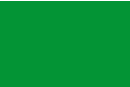Papier épais 300 gr/m²  Vert prairie - 10 feuilles A4 - Papiers Format A4 - 10doigts.fr